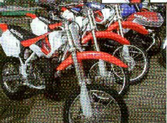 Scanned photo with moiré pattern
