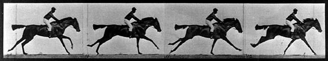 Photos of galloping horse by Eadweard Muybridge